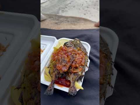 Take away food 🍕 #seychelles #traveltips #seychellestravel #minivlog #takeawayfood