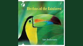 Rhythms of the Rainforest