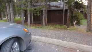 preview picture of video 'Yellowstone Lake Lodge, Cabin E11'