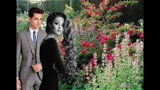 Semino Rossi   Verrückt nach deiner Liebe