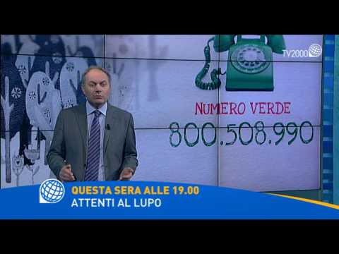 Attenti al lupo - Martedì 17 gennaio alle ore 19.00 su Tv2000