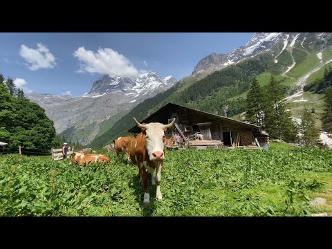 Switzerland - Alpaufzug (Stechelberg - Schiirboden)