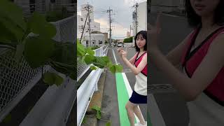 #nagisanono #渚のん #三つ編みみたいな枝 #最後我に戻るのやめてほしい #tiktok