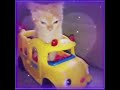 Cats The Living Tombstone Goofy Cat EDIT