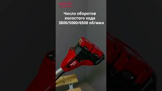Cordless trimmer WORTEX TB 3036 AT XLT