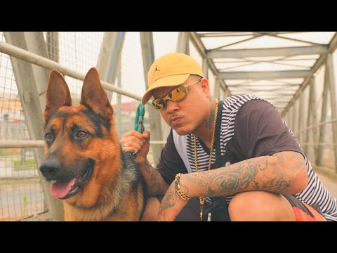 MC Cassiano - Antepassados (Vídeo Clipe Oficial) DJ Pedro