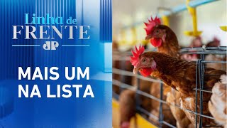 Emirados Árabes bloqueiam compra de frango do Brasil