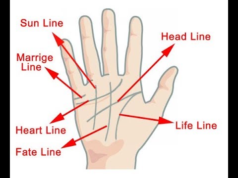 download lagu mp3 mp4 Easy Palmistry, download lagu Easy Palmistry gratis, unduh video klip Easy Palmistry