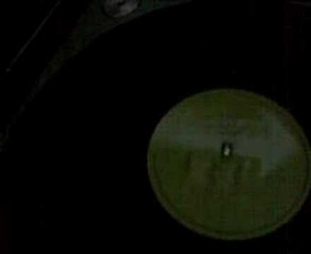 Nine Lives the Cat-Bouncing off the walls Rogue Element Rmx