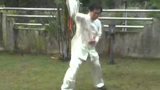 108 Pattern Yang Style Tai Chi Chuan Form - Wahnam Style