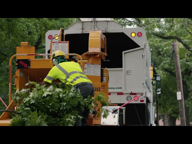 About The Davey Tree Expert Company