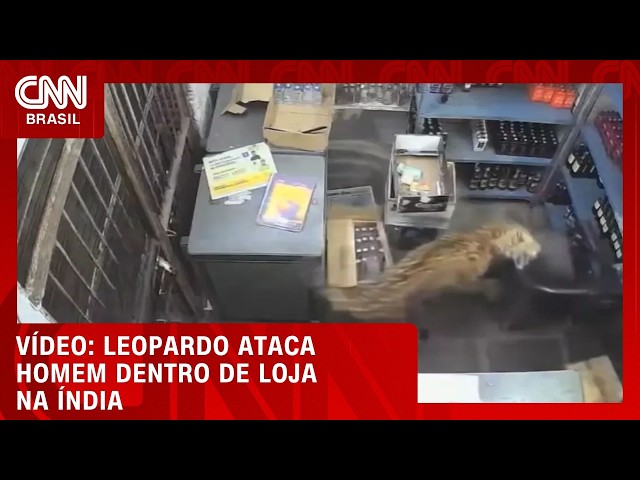 Veja momento em que leopardo ataca homem dentro de loja na Índia | CNN BRASIL