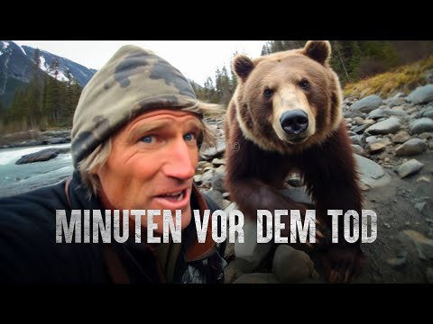 Warum der Grizzly-Mann nicht überlebt hat: Vor laufender Kamera verschlungen
