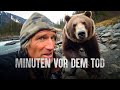 Warum Der Grizzly Mann Nicht überlebt Hat Vor Laufender Kamera Verschlungen