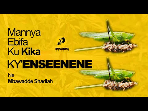 Mannya Ebifa Ku Kika Ky'Enseenene Ne Mbawadde Shadiah - Buganda Ekkula