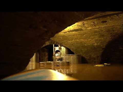 2021 07 16 Sommerhochwasser an der Mosel. Kontrollfahrt durch den Weinkeller.