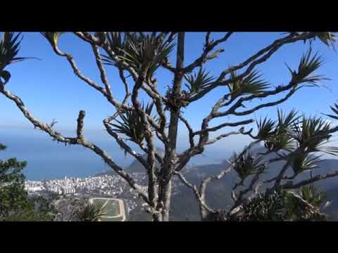 maldep county peach video enjoy good luck