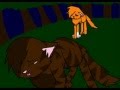 Warrior Cats I Hate Losing You