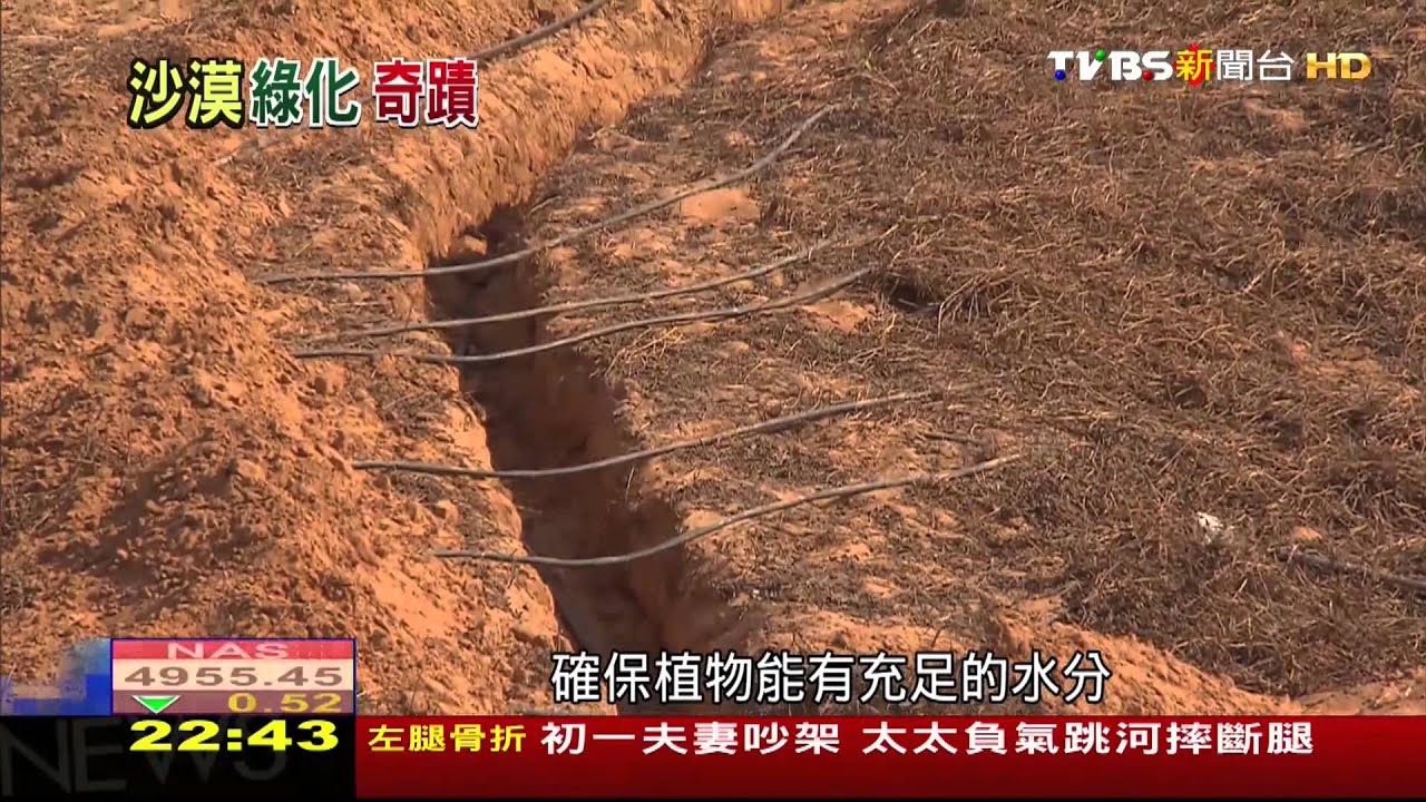 引海水種樹 沙漠城市拉斯海瑪氣候宜人