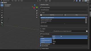 MediaFlow Studio video thumbnail