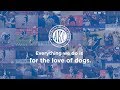 American Kennel Club 135th Anniversary