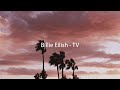 Billie Eilish - TV (slowed + reverb)