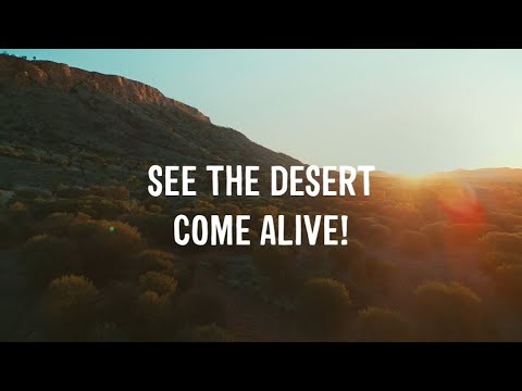 Alice Springs Desert Park