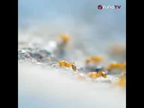 tengelam dalam kenikmatan