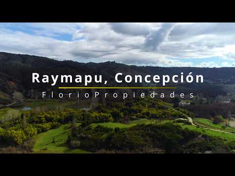 Santaurio natural en Hualqui | 6,48 ha, estero, flora y fauna nativa