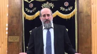 Rabbi Yisroel Reisman