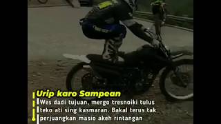 Download lagu Story wa keren mp3 Download lagu Story wa keren mp3