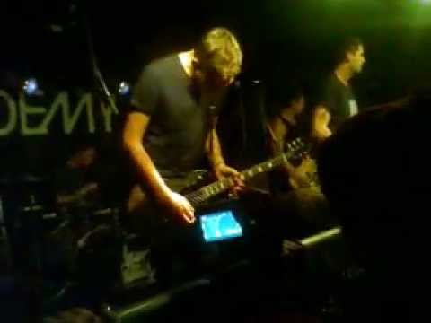 Beach Like Tree video