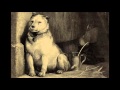 Julia - Pavlov's Dog 