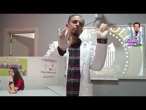 Turgor basıncı, osmotik Basınç ve OSMOZ deneyi