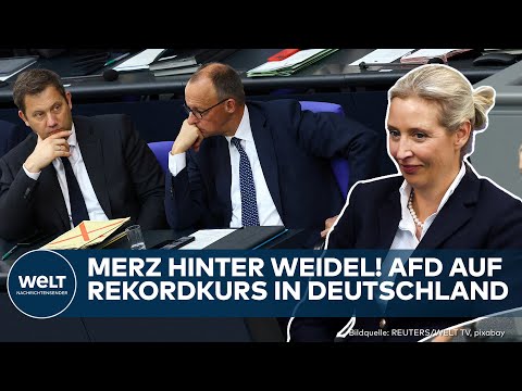 DEUTSCHLAND: "AfD eilt von Rekord zu Rekord!" - Friedrich Merz hinter Alice Weidel