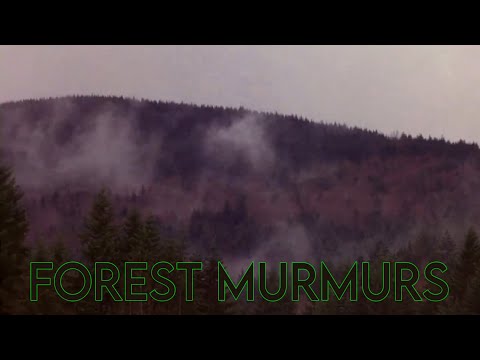 Forest Murmurs (Wagner) but it’s Twin Peaks