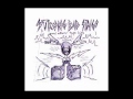 Strong Bad Sings: All the Other Songs 