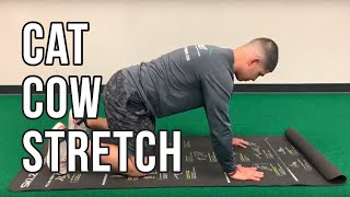 Cat Cow Stretch | Relieve Back Pain with Leo Lopez