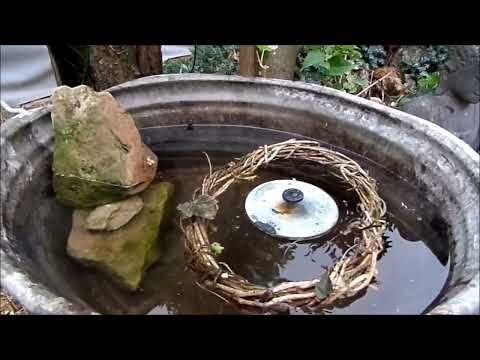 DIY DIE  Bade Nixe im  MINI Teich  -Upcycling