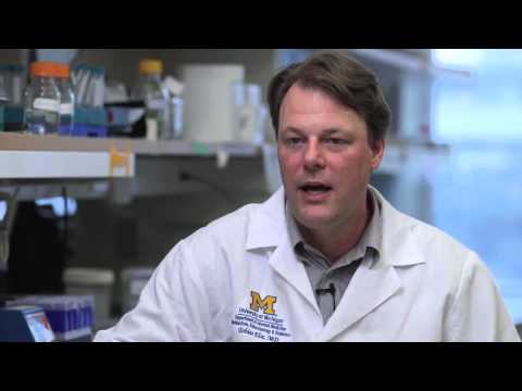 Drs. Tobias Else and Gary Hammer