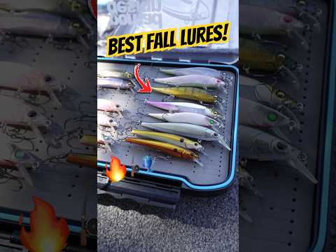 The ONLY 3 Bass Lures You Need This Fall 👀🎣 #fishing