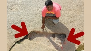 Did Giants Build Lepakshi Temple in India? Evidence of Suppressed History