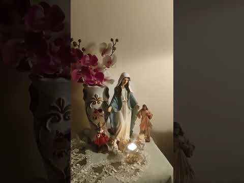 Meditazione del 24 gennaio 2023