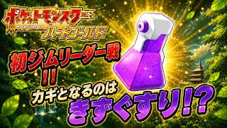 ポケットモンスターハートゴールドを徒然なるままに攻略【#4】