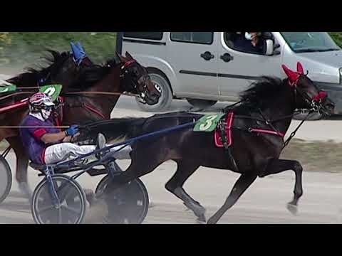 Aversa trotto 16 Settembre 2020 - 1° Corsa