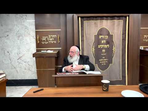 Transportation On Shabbos | Rav Asher Weiss on Riding Bicycles, Tricycles, Trains... on Shabbos