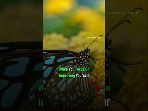 IF YOU SPEND TIME CHASING BUTTERFLIES