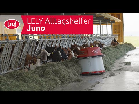 LELY Alltagshelfer – Juno