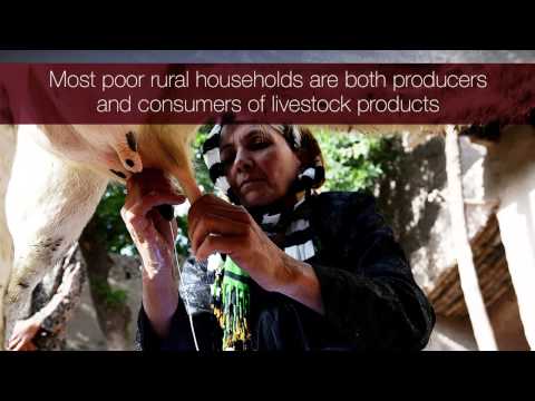 The Livestock Revolution: making livestock markets work for the poor FAO (en)