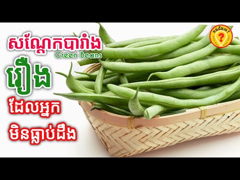 , title : 'Advantages of green beans or French beans for human health អត្ថប្រយោជន៍របស់សណ្ដែកបារាំង